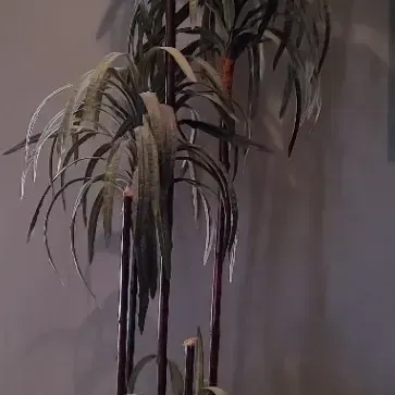Fantastic Faux Potted Dracaena Tree - 7' Tall