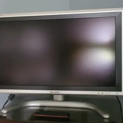 Sharp 30" T.V.