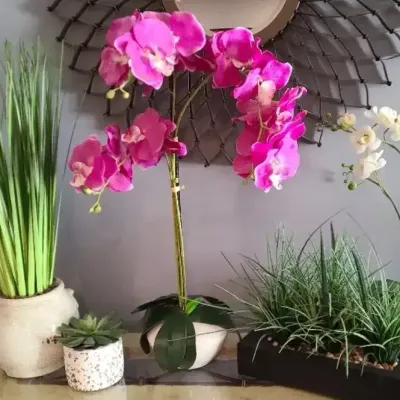 Forever in Bloom! Decorative Faux Plant & Orchid Collection