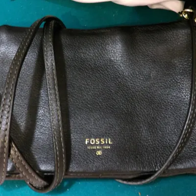 Sale Photo Thumbnail #427: Fossil 