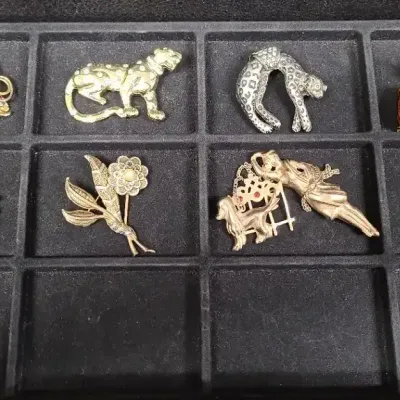 Basking In Gold Tones Brooches