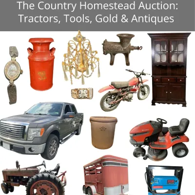 Sale Gallery Photo Thumbnail