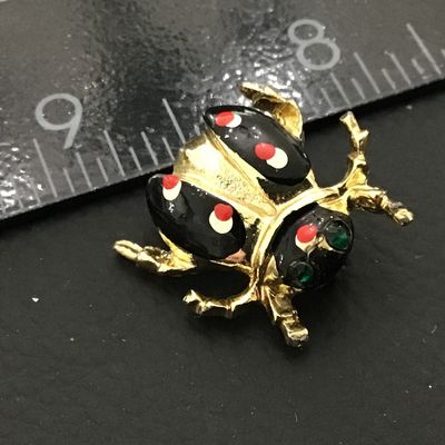 Bug Pin Vintage Lady Bug
