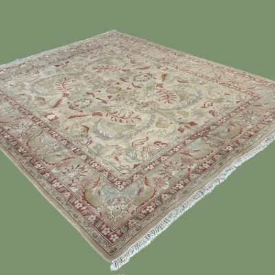 Light ivory traditional area rug with delicate floral pattern and decorative border