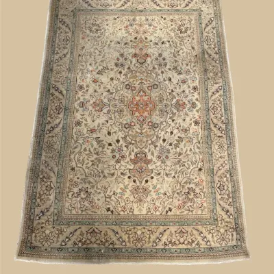 Light traditional area rug with intricate floral detailing