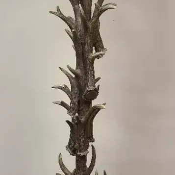 Rustic Antler Theme Standing Lamp