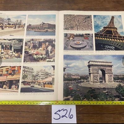 Notre Dame and Paris Clippings