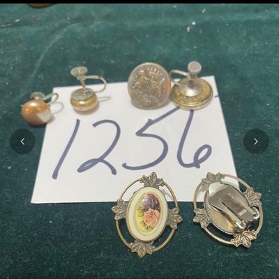 Vintage Clip Earrings