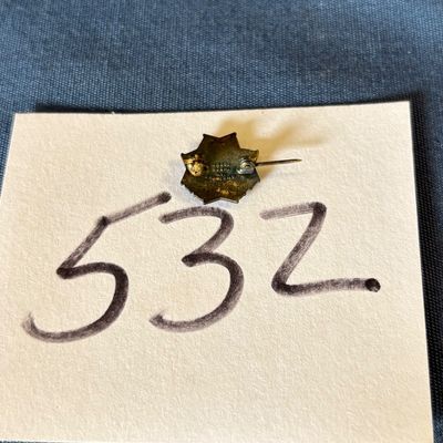 VFW Auxiliary Enamel Hat Lapel Pin-VETERANS OF FOREIGN WARS US Auxiliary