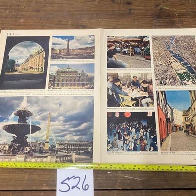 Notre Dame and Paris Clippings