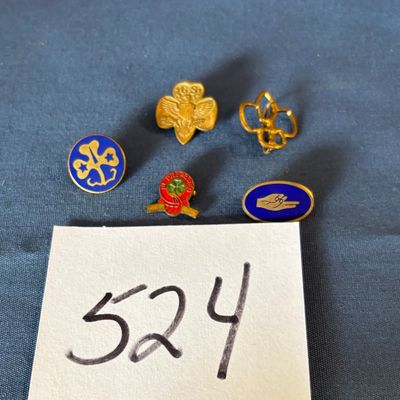 Girl Scout Pin Lot