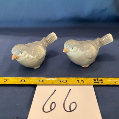 Bird Lot