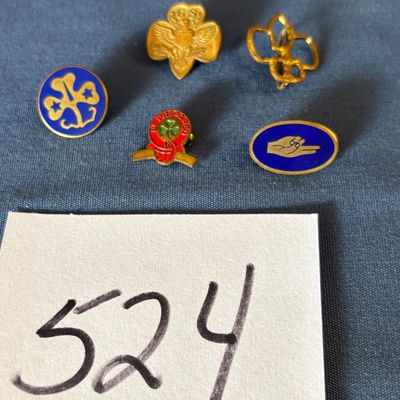 Girl Scout Pin Lot