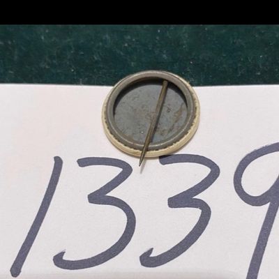 Vintage Frances M. Wilson for Governor Pin