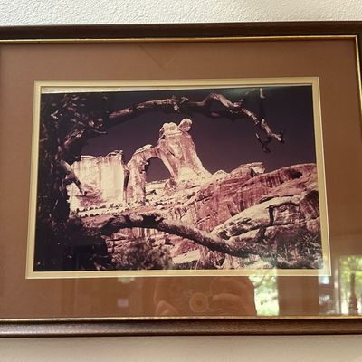 Sale Photo Thumbnail #298