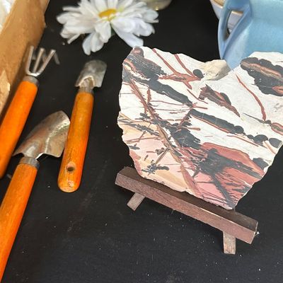 Sale Photo Thumbnail #349