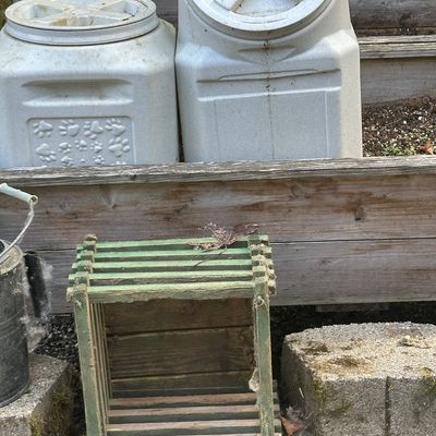 Sale Photo Thumbnail #861