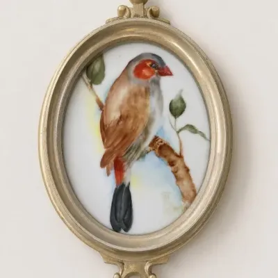 Sale Photo Thumbnail #164: Framed Oval Bird Portrait Print