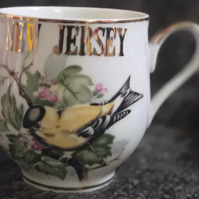 Vintage Norcrest Fine China New Jersey Goldfinch State Souvenir Coffee Mug S-636