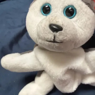 1996 Ty Beanie Babies Collection Nanook Gray Husky Dog Plush Stuffed Animal No Hang Tag