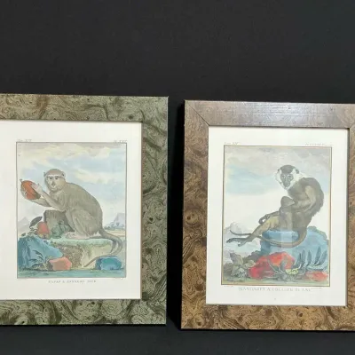 Monkey Reproduction Prints 