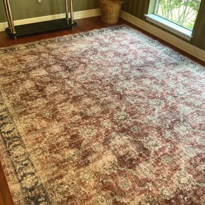 Garvee Washable Area Rug