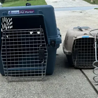 Dog Crates 