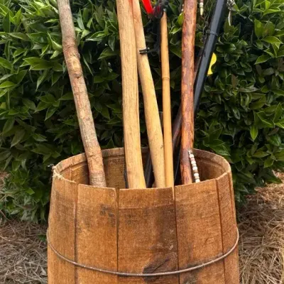 Cain And Walking Sticks 