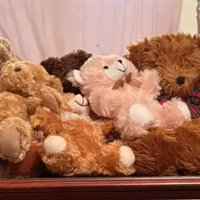 Assorted Teddy Bears part 4