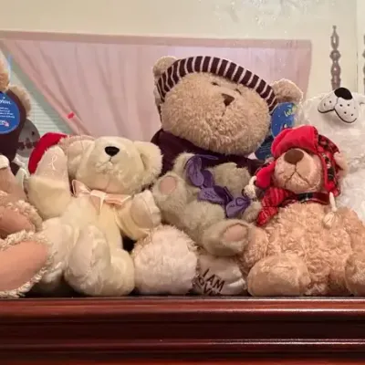 Assorted Bears Take 2