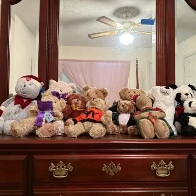 Teddy Bears assorted one Boyd Bear