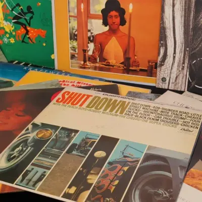 Mystery Lot of Vinyl