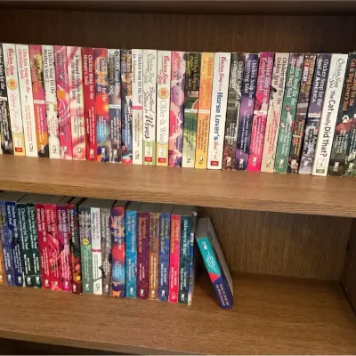 A Large Variety Of Chicken Soup For The Soul Books