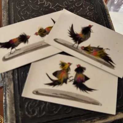 vintage feather art chickens
