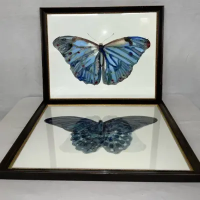 2 Framed Colorful Butterfly Images by Luxe Home Interiors