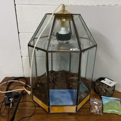 Glass Terrarium