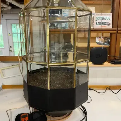 Large Terrarium And Accessories