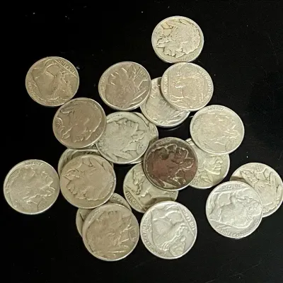 20 Buffalo Nickels 