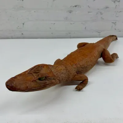 1950s Taxidermy Caiman Alligator 36 IN