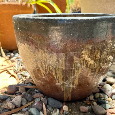 Pot #25