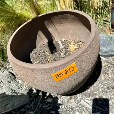 Pot #13