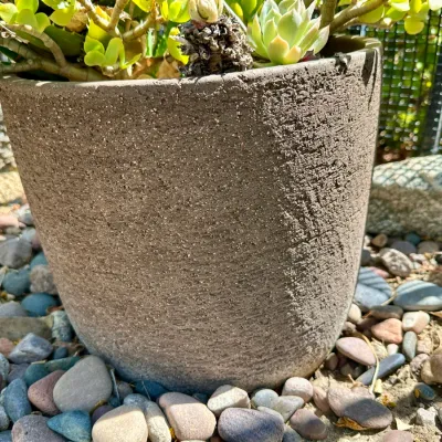 Plant and Pot #34