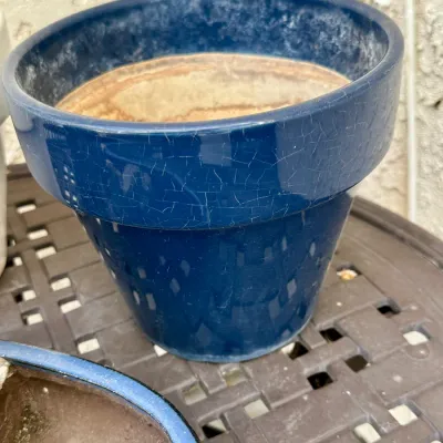 Lot Pot #37