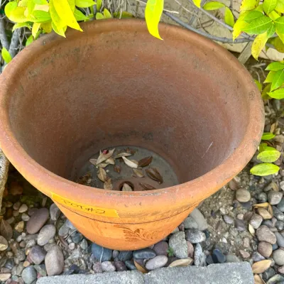 Pot #2