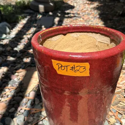 Pot #23
