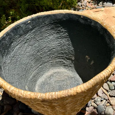 Pot #24