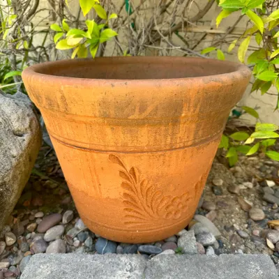 Pot #2