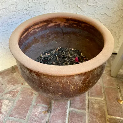 Pot #8