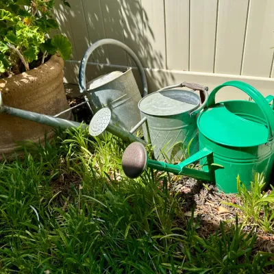 (3) Vintage Metal Watering Cans