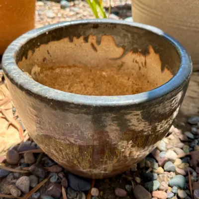 Pot #25
